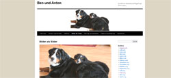 berner-blog